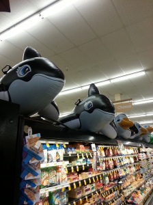 Killer Whales protecting the cheese in Blythe's grocery store.